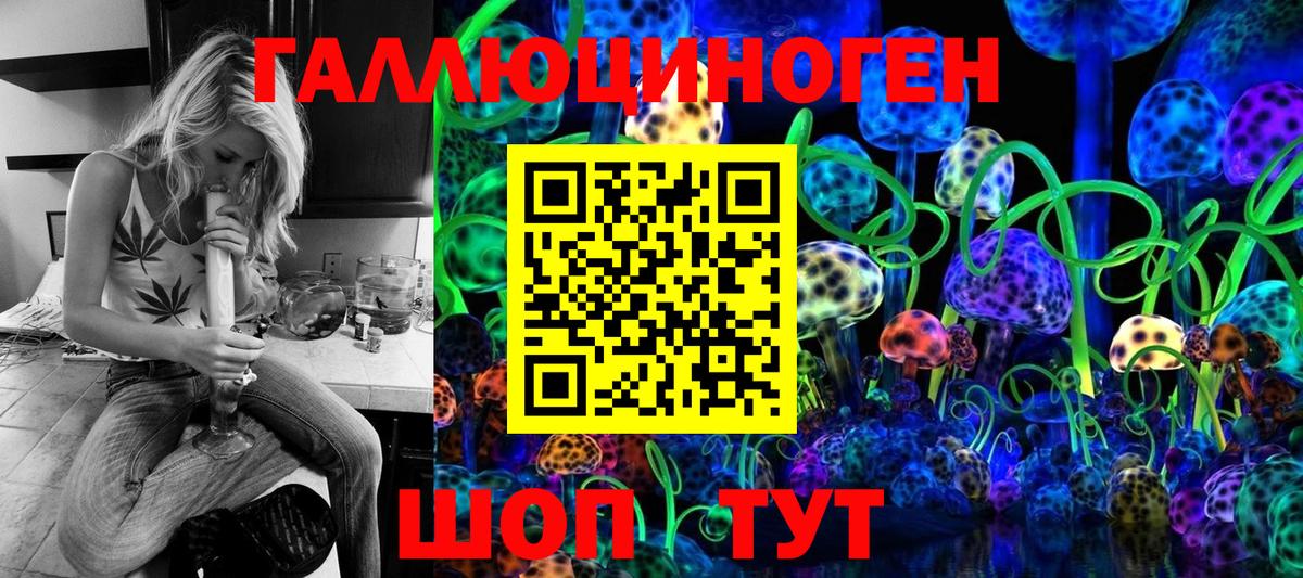 Оренбург  Галлюциногенные грибы Psilocybe  Вход с VPN 
