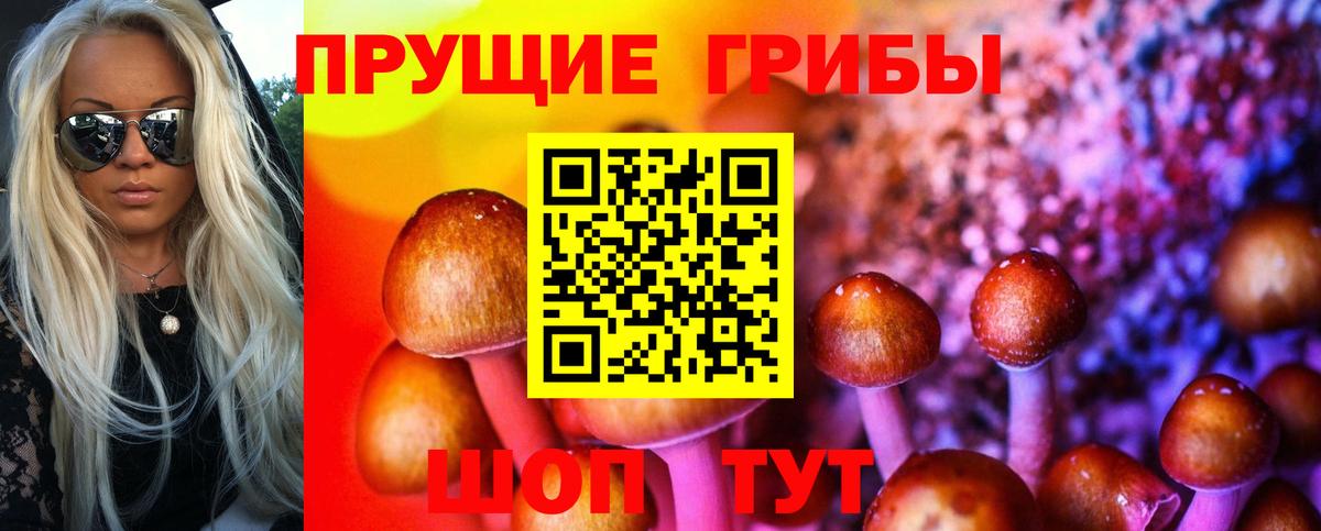 Галлюциногенные грибы Psilocybe Оренбург